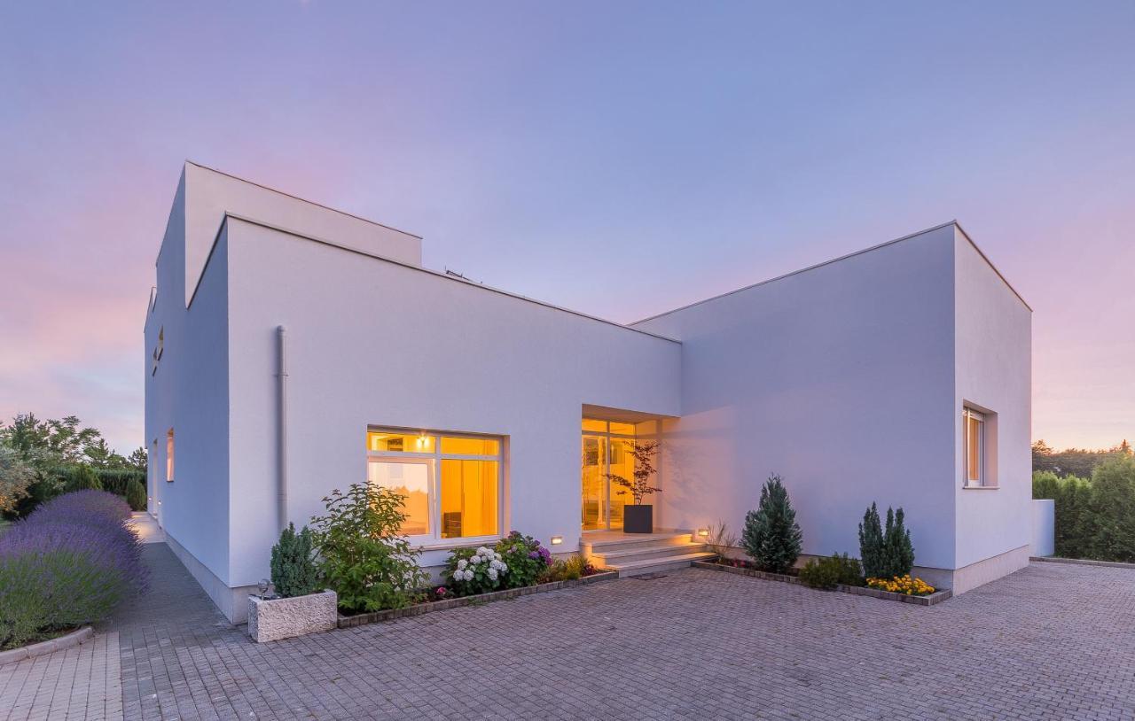 Villa Kate Istria Zminj Экстерьер фото